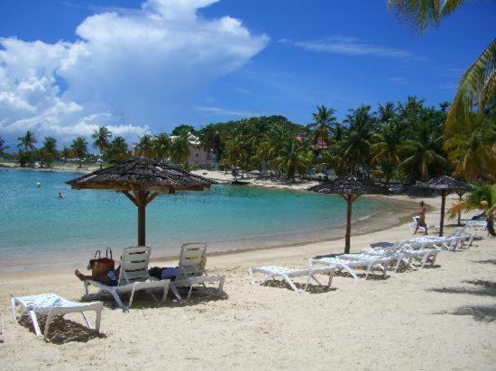 Studio Vue Mer Village Viva Bas Du Fort, Gosier Le Gosier  Extérieur photo